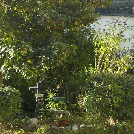 Cozy Morbach Getaway Apartmán *