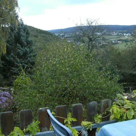 Spacious In Morbach With Garden *